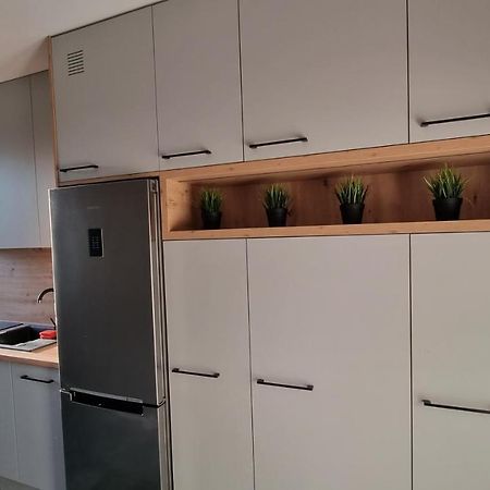Apartament W Centrum 琴斯托霍瓦 外观 照片